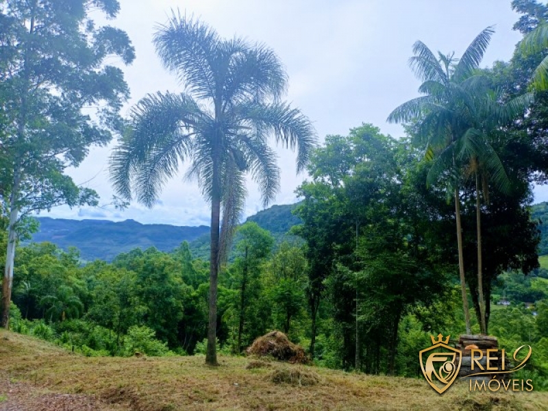 Área de Terras P/ Sítio  3,7 ha  Bauerek  Forquetinha