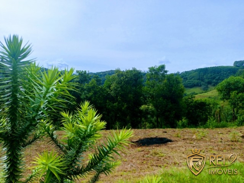 Sítio / Chácara 3,7 ha  Bauerek  Forquetinha