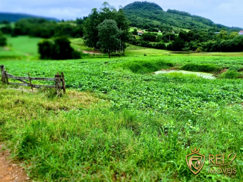 Área de Terras P/ Sítio  6,3 hectares Centro Forquetinha