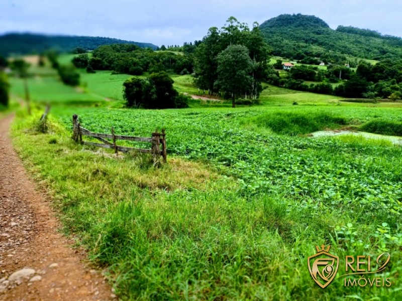 Sítio / Chácara  6,3 hectares Centro Forquetinha
