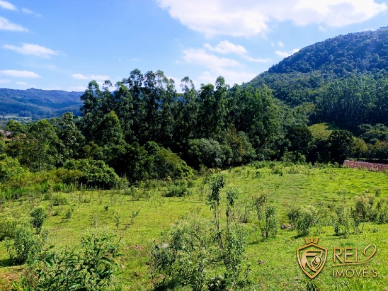 Área para Sítio 6 hectares sem benfeitorias 