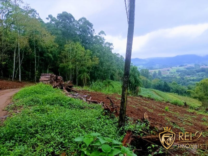 Área de Terras 3 hectares Bauereck / Forquetinha