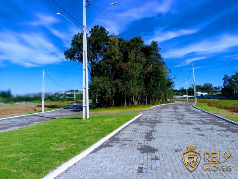 Terrenos   Bosque de Conventos 348m²