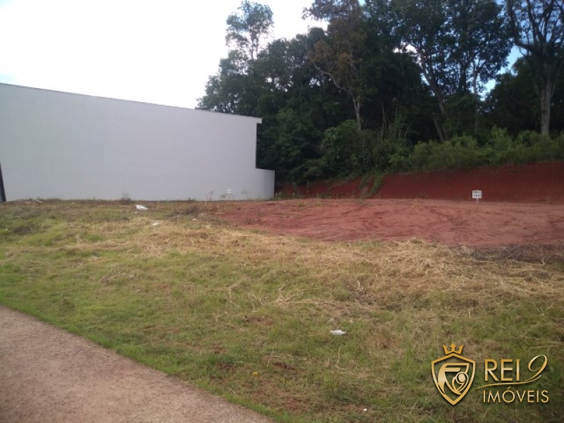 Terrenos com frente Av. Amazonas