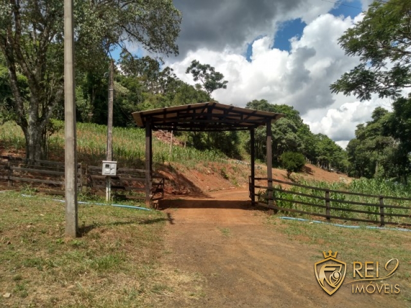 Sítio / Chácara 100m frente BR 386  2,4ha