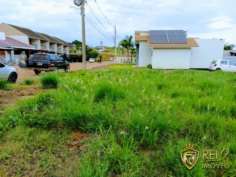 Terreno de Esquina Floresta 453m²