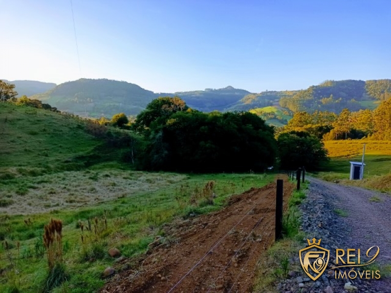 Área de Terras p/ Sítio 03 hectares 