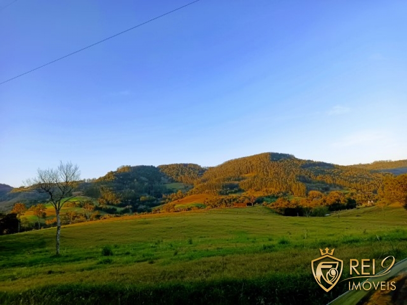 Área de Terras p/ Sítio 02 hectares 