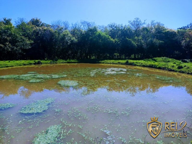 Sítio / Chácara 15 ha Casa, Açude e Córrego Forquetinha